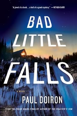 Bad Little Falls: A Novel