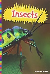 Insects by Allan Morey