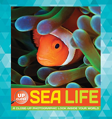 Sea Life: A close-up photographic look inside your world by Heidi Fiedler