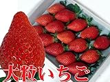 超大粒イチゴやよいひめ（15個入り）甘くて酸っぱくないいちご