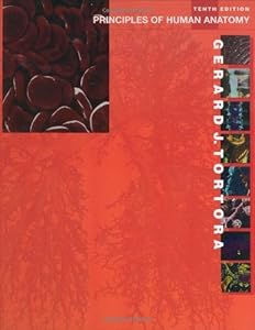 By Gerard J. Tortora - Principles of Human Anatomy: 10th (tenth) Edition