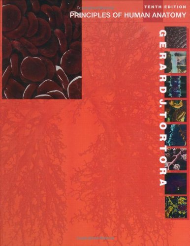 By Gerard J. Tortora - Principles of Human Anatomy: 10th (tenth) Edition by Gerard J. Tortora