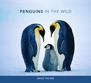 Penguins in the Wild by David Tipling