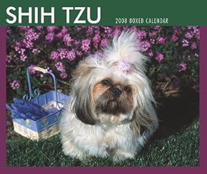 Shih Tzu 2008 Boxed Calendar (German, French, Spanish and English Edition)