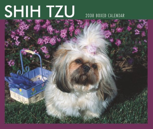 Shih Tzu 2008 Boxed Calendar (German, French, Spanish and English Edition) by BrownTrout Publishers