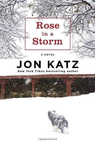 Rose in a Storm: A Novel by Jon Katz