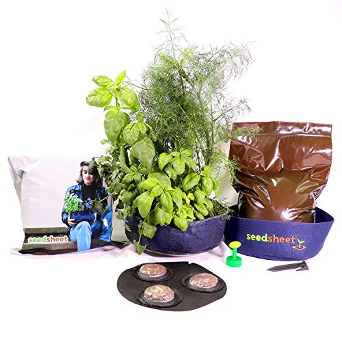 Algopix Similar Product 2 - Seedsheet Grow Your Own Mini Herbs