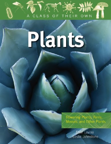 Plants: Flowering Plants, Ferns, Mosses, and Other Plants by Shar Levine