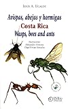 Avispas, Abejas y Hormigas Costa Rica Wasps, Bees and Ants - Jesús A. Ugalde