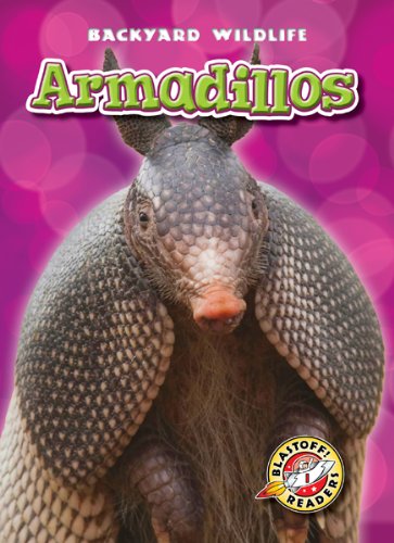 Armadillos by Kari Schuetz