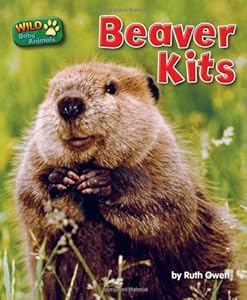 Beaver Kits