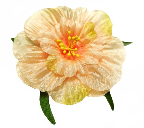 Algopix Similar Product 6 - Cuteque International 6Pack PinkLight