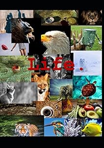 Life: Libreta Tumblr by Laia M. E.