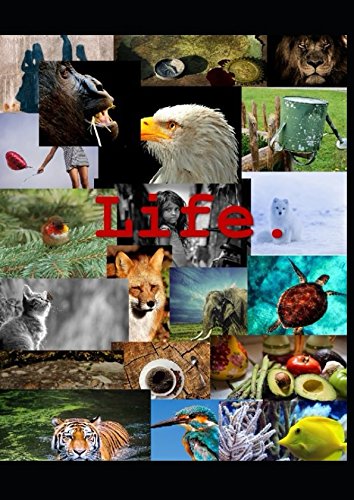 Life: Libreta Tumblr by Laia M. E.