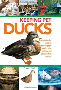 Keeping Pet Ducks