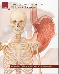 The Illustrated Atlas of Human Anatomy by Scientific Publishing
