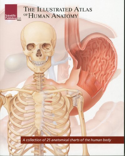 The Illustrated Atlas of Human Anatomy by Scientific Publishing