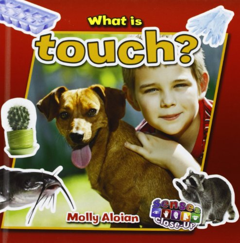 What Is Touch? by Molly Aloian