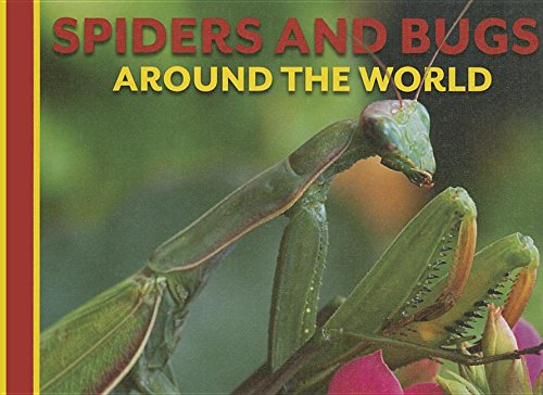 Spiders and Bugs Around the World by Claudia Martin