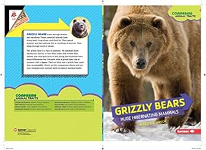 Grizzly Bears: Huge Hibernating Mammals