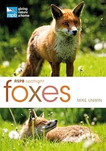 RSPB Spotlight: Foxes