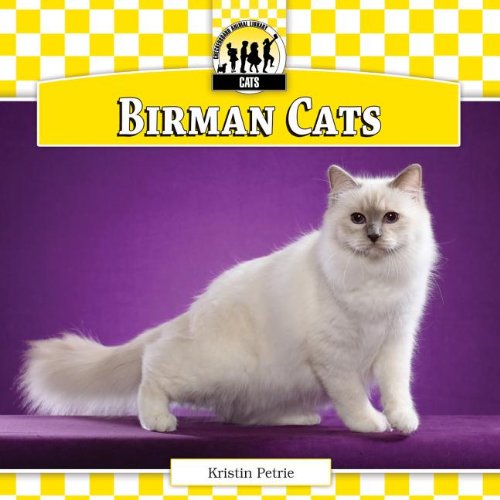 Birman Cats by Kristin Petrie