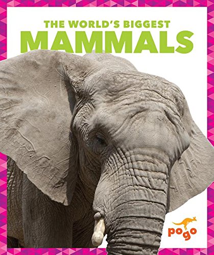 The World's Biggest Mammals by Mari C Schuh