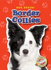 Border Collies