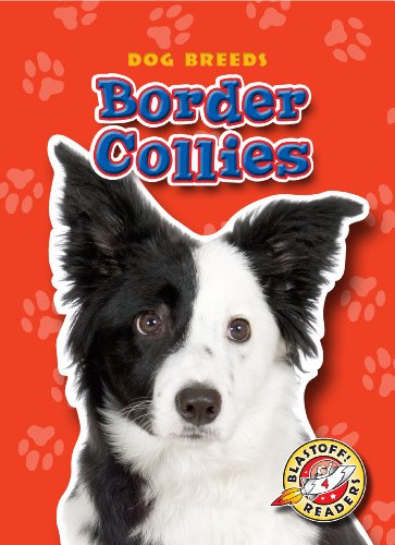 Border Collies by Sara Green