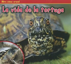 La vida de la tortuga