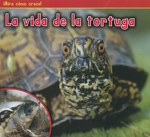 La vida de la tortuga by Nancy Dickmann