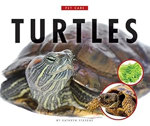 Turtles