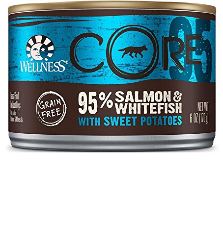Algopix Similar Product 17 - Wellness CORE GrainFree 95 Salmon 