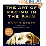The Art of Racing in the Rain