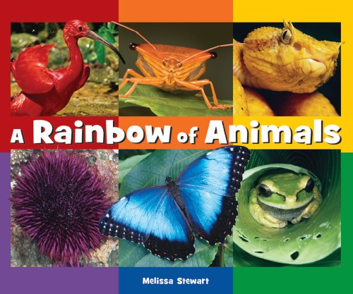 A Rainbow of Animals by Melissa Stewart