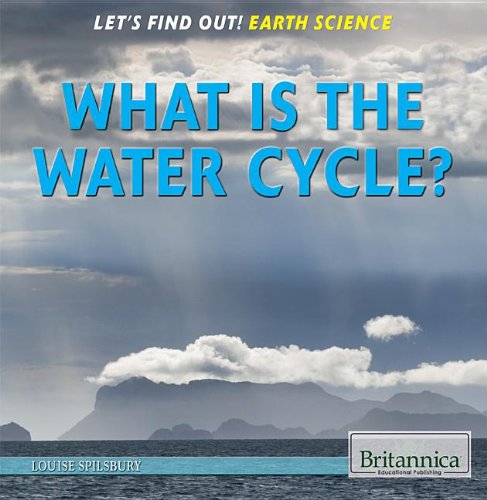 What Is the Water Cycle? by Louise Spilsbury