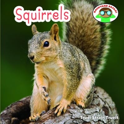 Squirrels