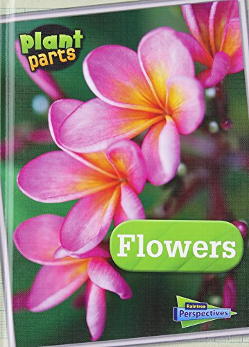 Flowers by Melanie Waldron