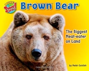 Brown Bear: The Biggest Meat-Eater on Land