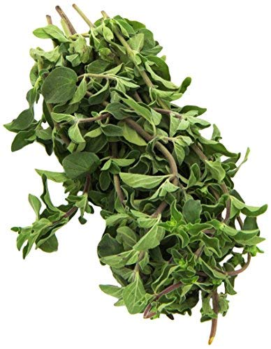 Algopix Similar Product 3 - Herb Oregano Organic, 0.75 Ounce