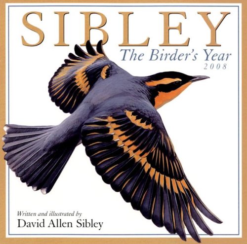 Sibley: The Birder's Year 2008 Wall Calendar by David Allen Sibley