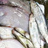 鮮魚を急速冷凍！北海道お魚福袋3kg