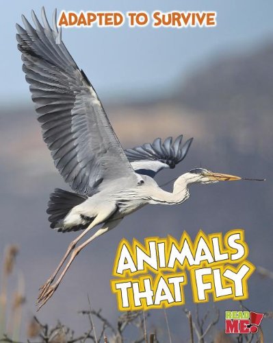 Adapted to Survive: Animals that Fly by Angela Royston