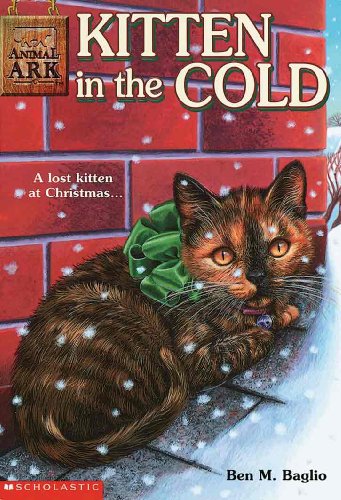 Kitten in the Cold (Animal Ark Series #13)