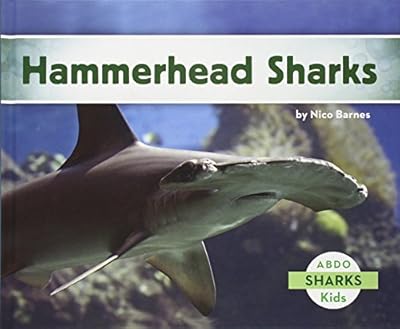 Hammerhead Sharks