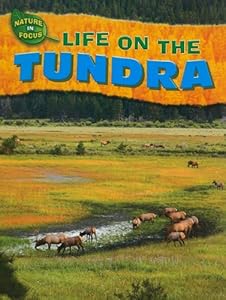 Life on the Tundra (Nature in Focus)