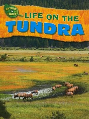Life on the Tundra (Nature in Focus)