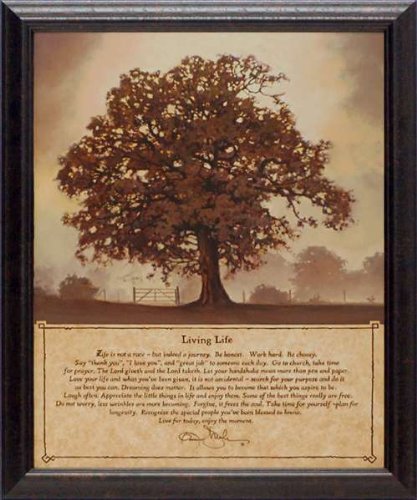 Living Life by Bonnie Mohr 19x23 framed country landscape print