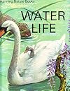 Water life