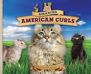 Amazing American Curls